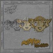 Grrrrr Zombie Cats Felix Raymon