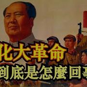 无产阶级文化大革命