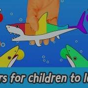 En Colors For Children To Learn With Sharks Animals Animation Sharks