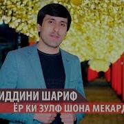 Хайриддини Шариф Зулф Шона Мекард 2019 Khayriddini Sharif 2019