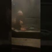 Ингушки В Саунах Владикавказа