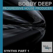 Bd Synth 002 C 128 Bpm Bobby Deep