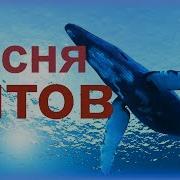Пение Китов С Музыкой