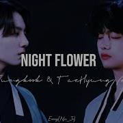 Night Flower Чонгук И Тэхен