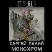 Сталкер Палий Монохром