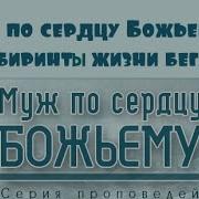 Лабиринты Веры Коломийцев
