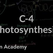 C 4 Photosynthesis Khan Academy