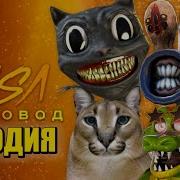 Песни Про Котуно Кэта 10 Породий