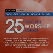 Worship Together You Never Let Go Worship Together 25 Favorite Worship Songs Album Version