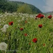 Гр Радуга Ша Булахдал Яр