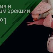 Узбек Смотреть Первый Раз Дрочу
