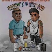 Skomota Shebeshxt Mavuso A Tao Tao Official Audio Feat Naqua Sa Buddysax Mr Luu De Stylist