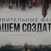 Удевительные Факты О Нашем Создателе