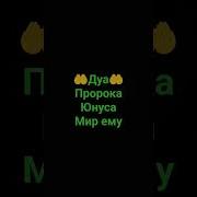 Ислам Напоминание