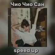 Чио Чио Сан Speed Up