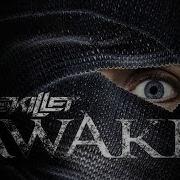 Skillet Awake And Alive Slowed