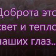 Доброта Это Свет И Тепло Ваших Глаз