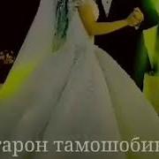 Хаёт Бози Нест
