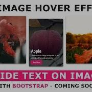 Css Slide Text Over Image Css Image Hover Effects With Bootstrap