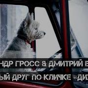Верный Друг По Кличке Дизель
