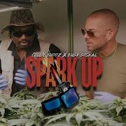 Collie Buddz Spark Up