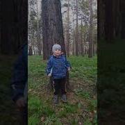 Мы Идем В Осенний Лес Хоровод