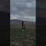 Айляндор Айляндор Мадам Алина Hit 2021
