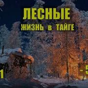 Мороз Минус 50 На Лыжах Изба Лесника Таёжный Роман Жизнь В Тайге Истории Из Жизни В Лесу Сериал
