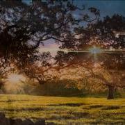 If You Remember Me By Chris Thomson With Lyrics Arthur Aaron Trinidad