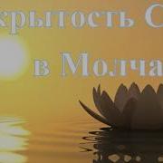 Сознательная Эволюция Человека Александр Клюев