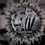 Дилмурод Усмонов Кучкакли Боллар Dilmurod Usmonov Kuchkakli Bollar