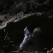 Эээ Ватсапта Ким Бар