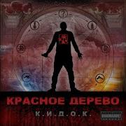 Следующий Шаг Красное Дерево