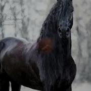 Кора Байир От