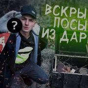 Антон Лав Лазарев Жуткая Посылка С Даркнет Что В Ящике