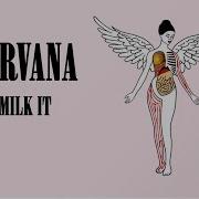 Nirvana Milk It In Utero Backing Track Eb Tunning