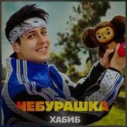 Песня Чебурашка Хабиб
