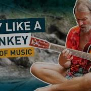 Crazy Like A Monkey Wim Hof Lyrics