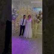 Речь Ребенка На Гендер Пати