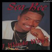 Sea Bee Slow Down Golden Era