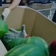 Мусофирда Юрган