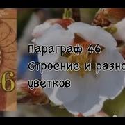 Биология 6 Класс 14 Параграф