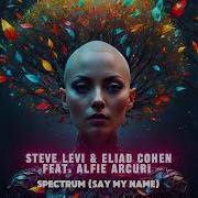 Steve Levi Spectrum