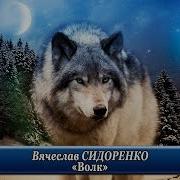 Волк Вячеслав Сидоренко