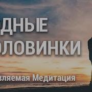 Медитация Встреча Близнецовых Пламен