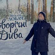 Пісня Про Новорічні Дива