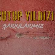 Kutup Yildizi Brindarım