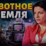 Разложил Бабки По Полкам