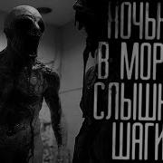 Страшные Истории Морг