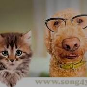 С Днем Рождения Муся И Мусик Поздравляют
